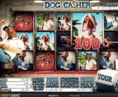 Dog Casher